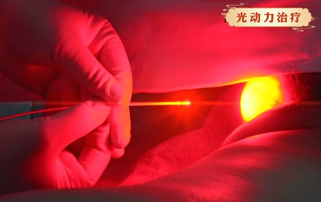 光动力与声动力